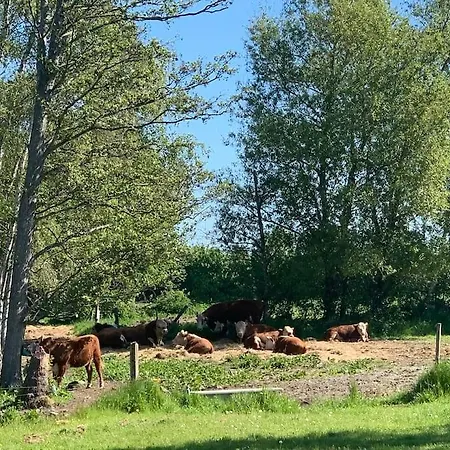 Kongsholmlund - Silent Retreat Casa de Férias Vejby