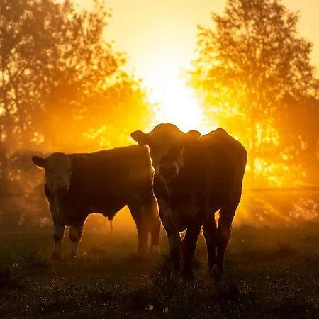 Kongsholmlund - Silent Retreat *