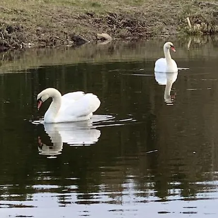 Kongsholmlund - Silent Retreat Vejby
