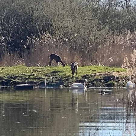 Kongsholmlund - Silent Retreat