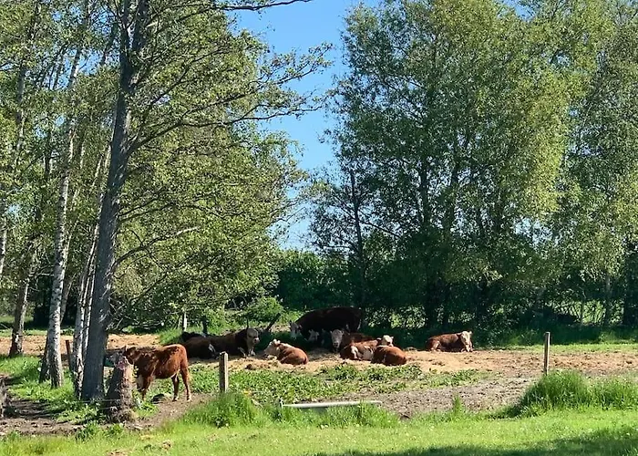 Kongsholmlund - Silent Retreat Σπίτι διακοπών Vejby