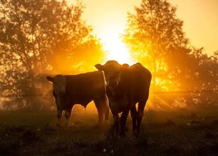 Kongsholmlund - Silent Retreat *