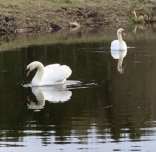 Kongsholmlund - Silent Retreat Vejby