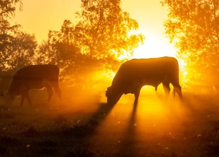 Σπίτι διακοπών Kongsholmlund - Silent Retreat